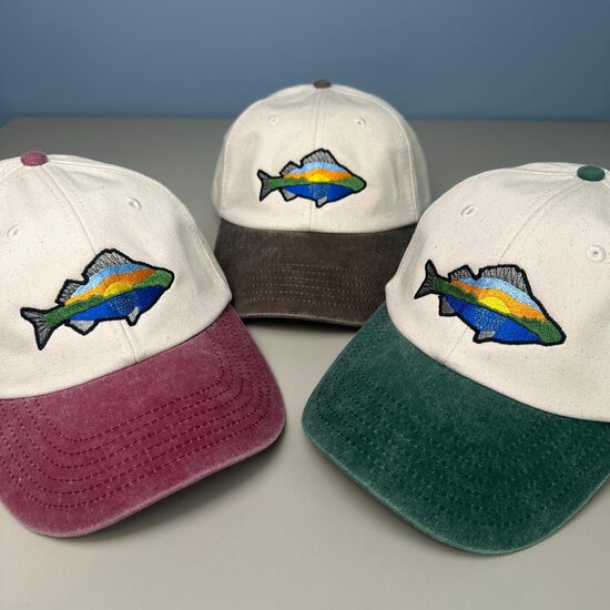 Divu krāsu cepure ar nagu Asaris (zema profila piegriezums)